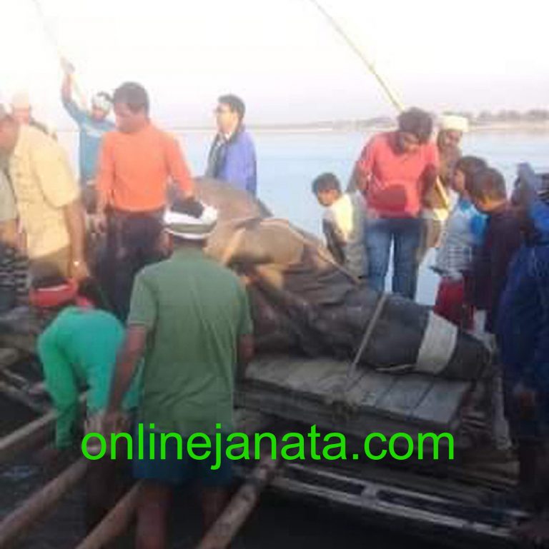 हराएकाे गैंडा यसरी ल्याइयाे नेपाल, फाेटाे फिचर सहित ….