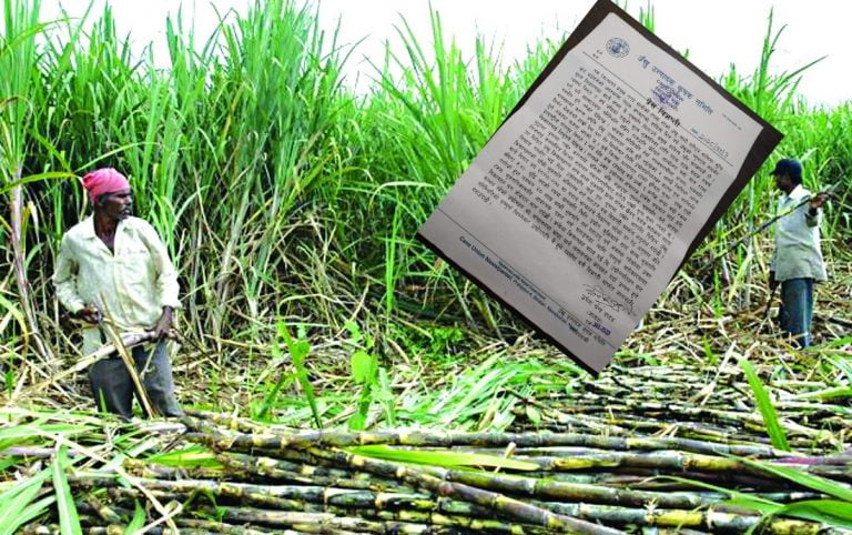 नवलपरासीका किसानले पाएनन्, विगत ४ वर्षदेखि बेचेकाे उंखुकाे मूल्य