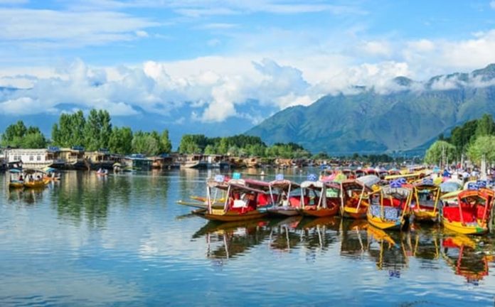 kashmir