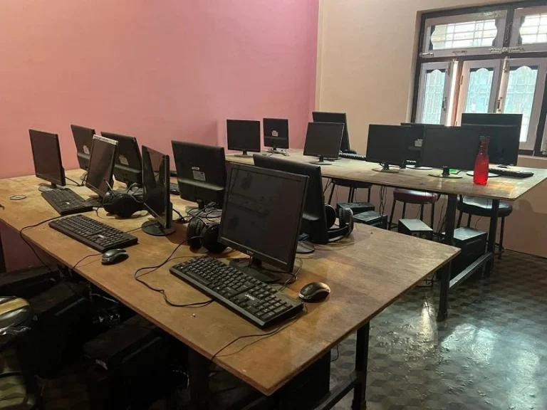 वीरगन्जबाट अनलाइनमार्फत ठगी गर्ने चिनियाँ नागरिक पक्राउ